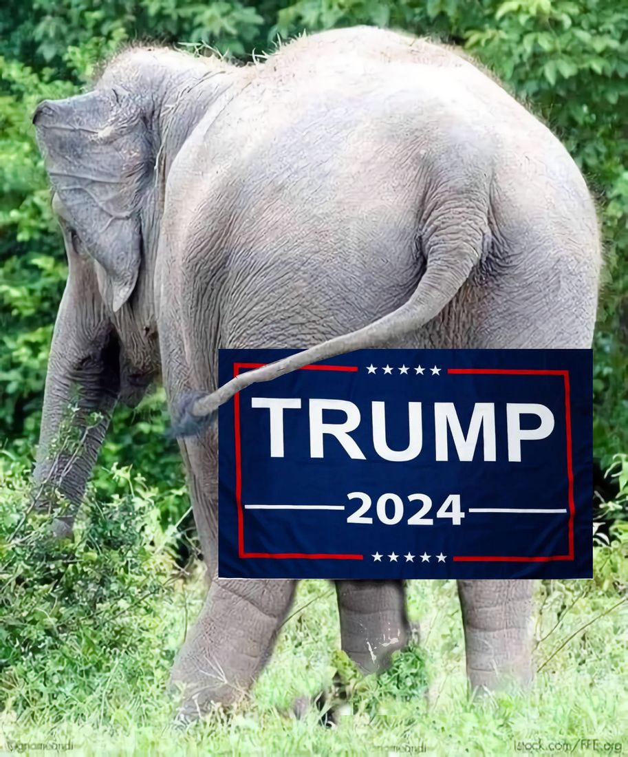 Click to Enlarge-Esc to Close ArtWork1/WiseCracks Comments Memes/ElefanTrump.jpg